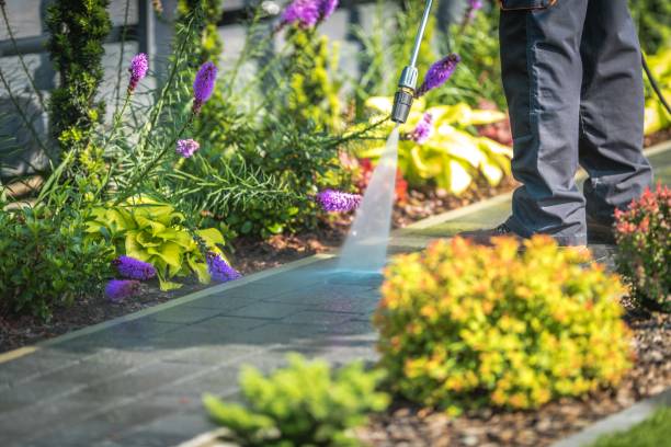 Best Dumpster Area Cleaning  in Bartow, FL